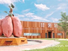 泗水县杨柳镇“薯乐恬园”乡村振兴示范片区 做强特色产业 促进强村富民